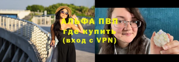 твердый Абаза