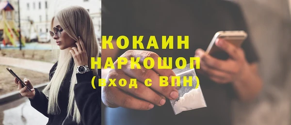 мет Новодвинск