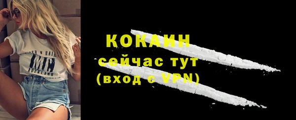 твердый Абаза