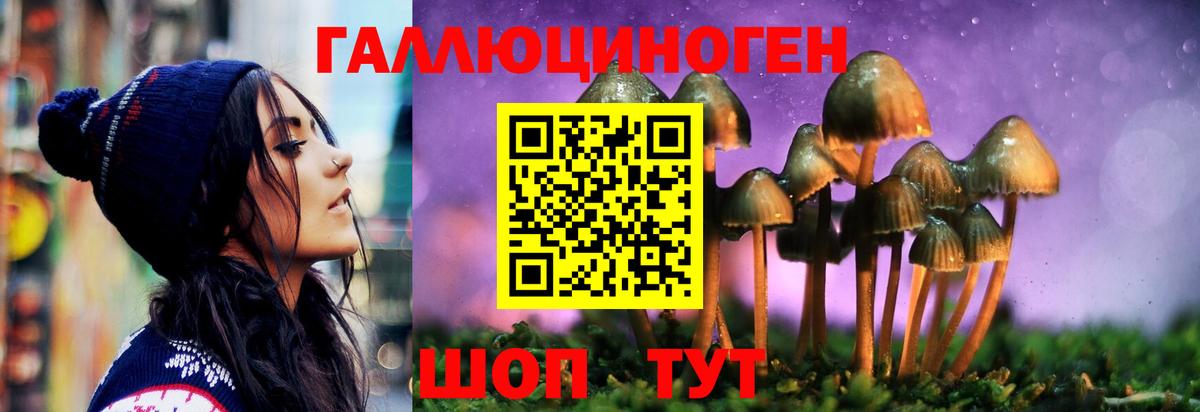 Псилоцибиновые грибы GOLDEN TEACHER  Вход с VPN  Химки 
